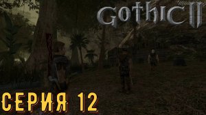 Болото ►Gothic 2 ► Ночь ворона ► Серия 12 ◄ | прохождение | СТРИМ | Обзор