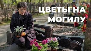 Как посадить  цветы на могиле? САМЫЕ популярные цветы.