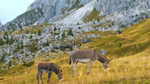 Yökş - Özümden Çok