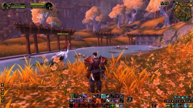 Mercs' 5.1 Rogue Patch Notes Segment / Opinions смотреть онлайн