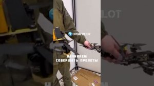 Как сбивать Бабу Ягу без сетей и затрат
