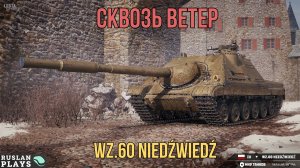 В СВОБОДНОМ ПОЛЕТЕ 🔥 Wz.60 Niedźwiedź