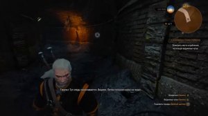 The Witcher 3: Wild Hunt: В поисках Лютика( Дийкстра)
