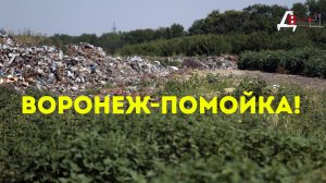 Воронеж помойка! Не переезжайте сюда!