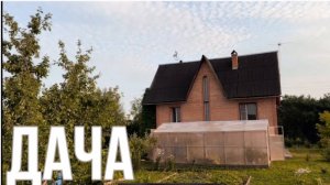 Дача 7 октября 2023 укрыли Розы на зиму.