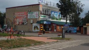 Земетчино обзор 1