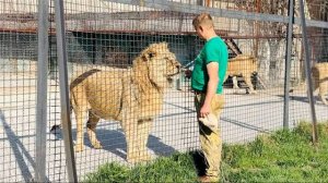 Олег Зубков решает нужно ли сейчас выпускать эту группу Львов или подождем?!