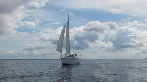 2024 лето 1+2+3+4+5