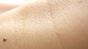 Female Neck - Close Up