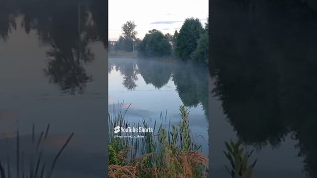 Подмосковные вечера)