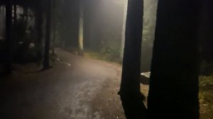 3679072-uhd_3840_2160_24fps