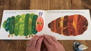 The Very Hungry Caterpillar By Eric Carle