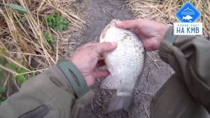 Рыбалка (КМВ) . Ставропольский край. Охота за карпом на новой локации 🎣🌊⚓