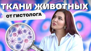 ✨Ткани животных| все ткани для ОГЭ| биология ОГЭ