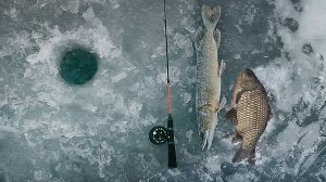 Ловля карася и поиск щуки по первому льду