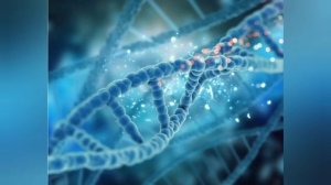 Научные открытия 21 века