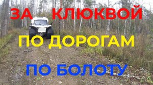 На Вездеходе На Дальняк Едем Искать Клюкву