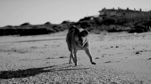 Pinhâni - Dünyadan Uzak - Canlı Akustik Versiyon