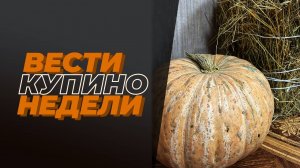 Купинские вести 12.10.2024