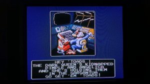 MiSTer (FPGA) NES: Component Video 4:3 CRT TV