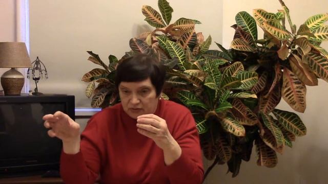 Встреча 7. Приглашение на практику по определению соционического типа