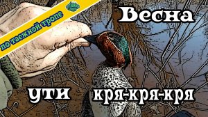 Сезон охоты на утку открыл