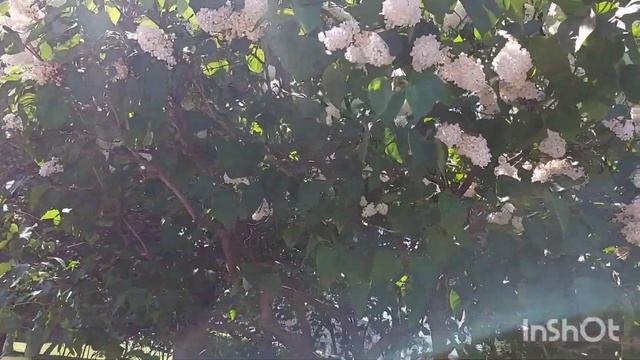 ВЛОГ/Манежная пл./Александровский Сад/Парк Зарядье#манедная#зарядье#александровскийсад#