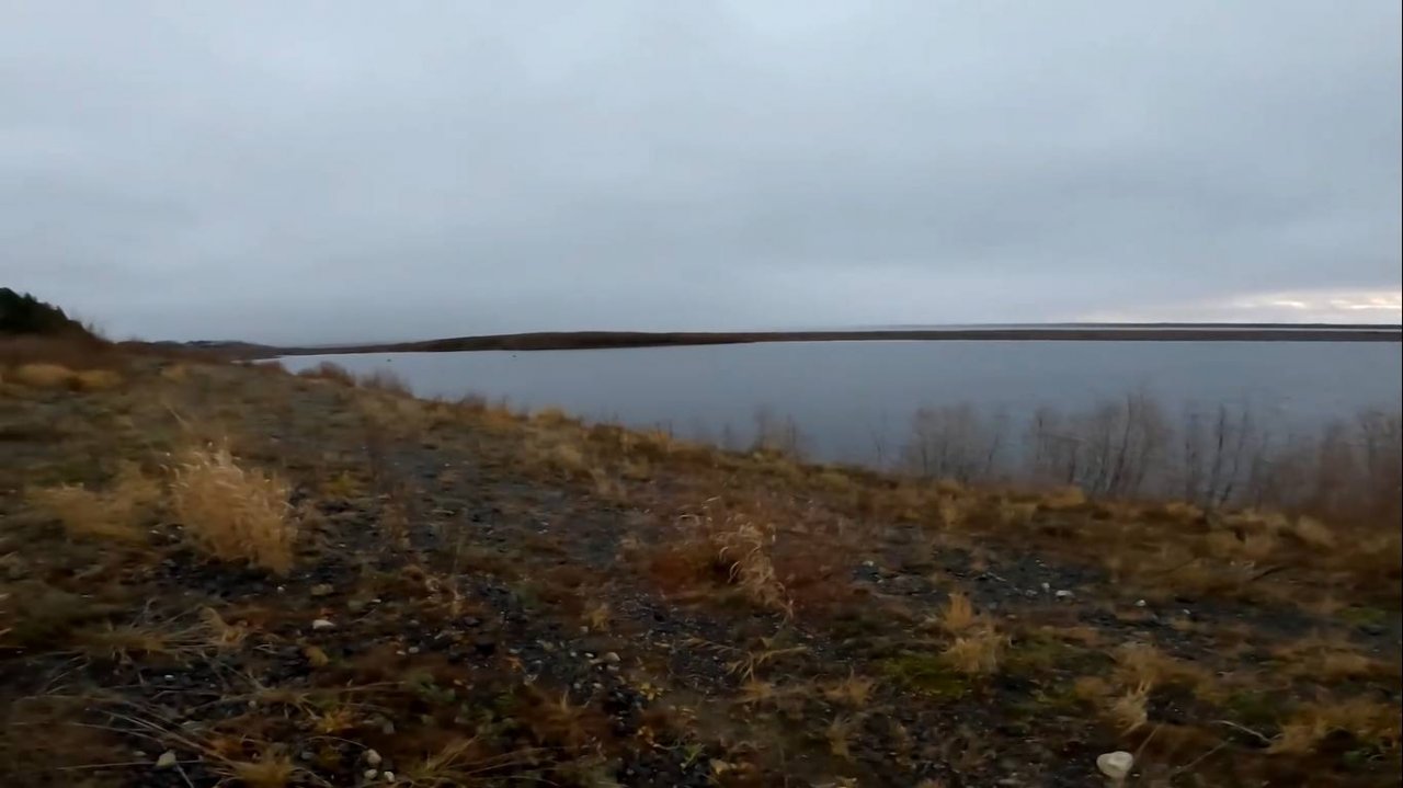 Рыбалка в Курье. Ловля налима на закидушки.