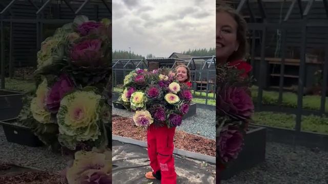 ОГРОМНЫЙ БУКЕТ ИЗ КАПУСТЫ  Хотели бы себе такой?