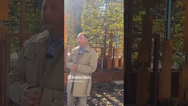 Ландшафтная архитектура в городском пространстве