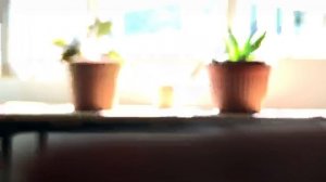 Ulanzi 65mm telephoto lens test on iPhone X