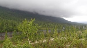 Граница Таймыра, ландшафт плато Путорана.