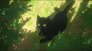 lofi cat 🎶
