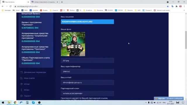 Отзыв партнёра Дмитрия Петряшова о личном опыте сотрудничества с сервисом RobPay.