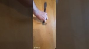 гвоздодёр от dewalt