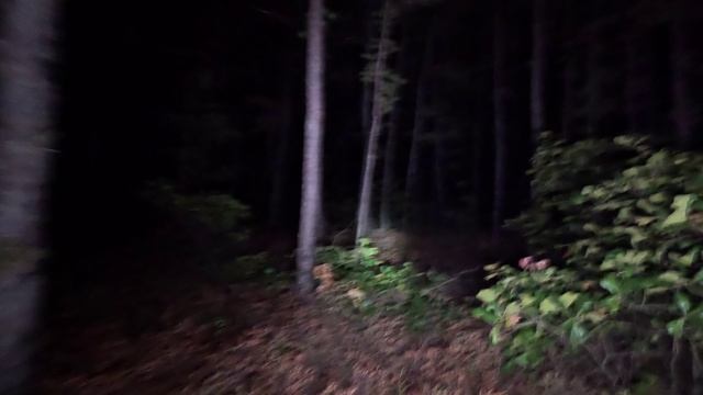 12474775_3840_2160_24fps