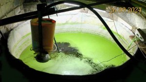 Подмена воды в бассейне. Кормление осетров червями и слизнями. Выращивание рыбы в домашних условиях.