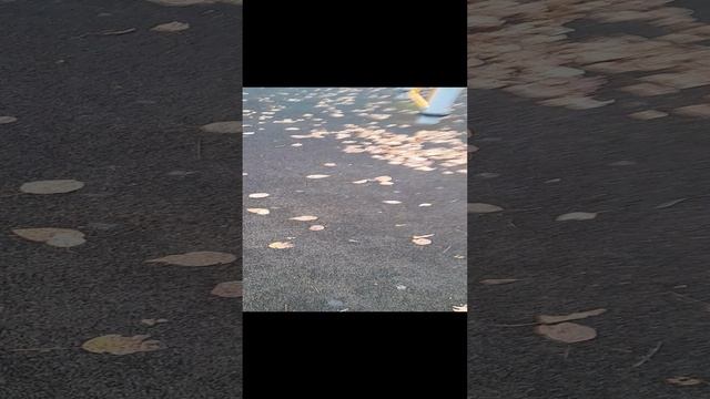 я вернулся вот вам видео смотреть онлайн