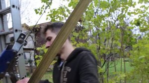 Дерево ч 3 2020