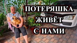 689ч Жизнь семьи на юге/Интересное из нашей жизни/Мы переехали с Урала на юг