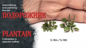 Подорожник фототравлёный - сборка и покраска