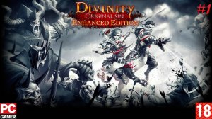 Divinity: Original Sin (PC) - Прохождение #1. (без комментариев) на Русском.