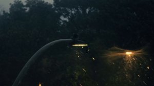 5765474-uhd_3840_1920_24fps