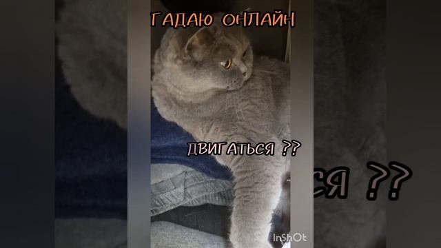 12 октября.
Карта дня Таро.Гадвю онлайн,магия помощь.
#12октября #картадня #гадаюонлайн #магияпо ощь