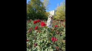 Весеннее настроение осенью. ТАКПРОСТОТАКМОЖНО