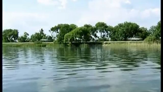 Лето  Безопасность  Вода