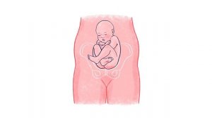 31 Weeks Pregnant - Natural Pregnancy Week-By-Week