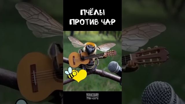 Пчела Любви🐝❤️ летит по следам Волкодава! #александрволкодав #пчелы #казачья #volkodav #топ #голос