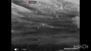 Еще одни три вечера охоты на шакала Александра в Ростовской области. Прицел Guide TR430