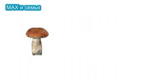 Что такое сложение Для малышей от 3х лет